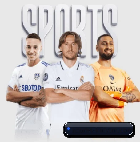 开云 APP 界面(kaiyun sports)
